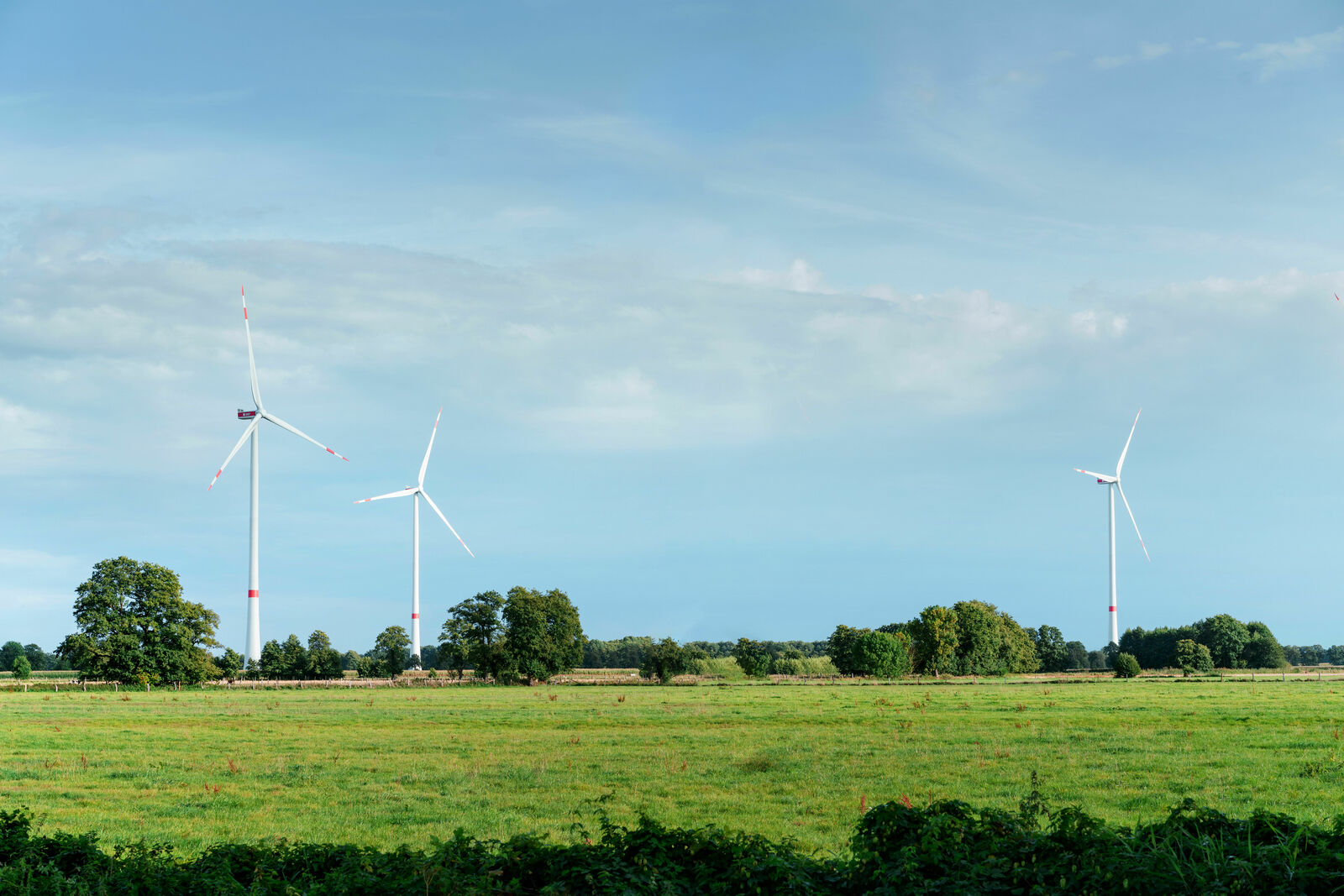 Expansive green meadow with several wind turbines in the background under a slightly cloudy sky.